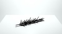 Black feather isolated on white background, ready for design projects, clipart, and creative compositions.