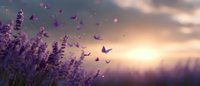 Purple lavender flowers with butterflies silhouettes flying against dramatic sunset sky background, creating magical atmospheric nature scene in soft light.