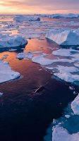 Icebergs and ice floes drift in frigid polar waters during golden hour sunrise, creating a stunning Arctic landscape with dramatic lighting and natural ice formations.