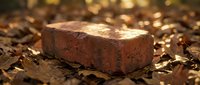 Weathered red brick resting on autumn leaves with warm golden sunlight creating bokeh effect. Construction material in natural outdoor setting.