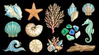 Watercolor sea shells, starfish, coral, seahorse, and driftwood isolated on transparent background. Ready for t-shirt designs, clipart, stickers, sublimation, and print-on-demand projects.