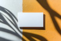 Blank white business card mockup with palm leaf shadow on orange and white background wall, modern minimal design for branding presentation.