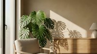 Monstera deliciosa houseplant casting dramatic shadows on beige wall in bright sunlit modern living room interior with natural lighting and minimalist decor.