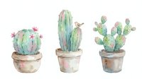 Watercolor illustration of three potted cacti with pink and green hues in terracotta pots, isolated on white background, suitable for botanical designs and home decor projects.