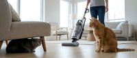 Young woman vacuuming hardwood floor while orange and black cats watch from under furniture in bright living room with windows.