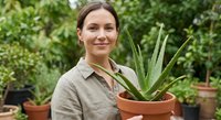 Young Caucasian woman gardener holding aloe vera plant in terracotta pot at greenhouse nursery, smiling at camera surrounded by green foliage and plants.