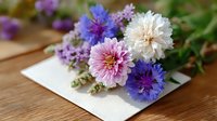 Fresh garden cornflowers and dahlias in pink, white and purple shades lying on white paper against wooden background, soft natural daylight, shallow depth of field.