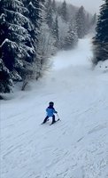 Young skier in blue jacket descending snowy mountain slope surrounded by frost-covered pine trees in winter forest landscape.