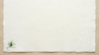 Blank cream textured paper with raw deckled edges and small green plant sprig, isolated on wooden surface for design, stationery, and branding projects.