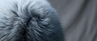 Professional gray windscreen microphone cover with soft fur texture for audio recording equipment and broadcasting applications.