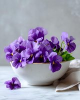 Fresh purple pansy flowers in white ceramic bowl against light background, styled composition for spring garden and floral design projects.