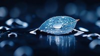 Blue leaf with water droplets on dark reflective surface creates atmospheric mood with bokeh background. Perfect for nature and wellness concepts.