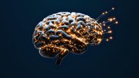 Glowing neural network connections illuminate anatomical brain model against dark background, representing artificial intelligence and cognitive function.