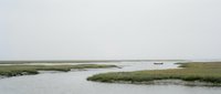 Serene coastal wetland landscape with winding waterways through marsh grass under overcast sky creating peaceful natural scenery for environmental projects.