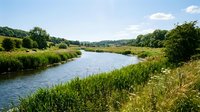 Scenic river flowing through lush green countryside with trees and meadows under blue sky, suitable for nature, travel, and environmental design projects.