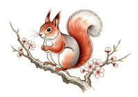 Cute red and white squirrel sitting on flowering branch with berries, isolated on white background. Perfect for children's illustrations, nursery decor, greeting cards, and woodland-themed designs.
