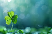 Fresh green clover leaf against blurred turquoise background with bokeh lights and water drops, symbol of luck and Irish culture.
