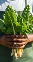 Fresh organic kale bunch held by person with dark skin tone wearing green shirt, showcasing vibrant leafy greens for healthy eating, cooking, and nutrition content.
