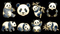 Cute panda bear characters isolated on transparent background. Ready for t-shirt design, clipart, stickers, sublimation and print-on-demand products.