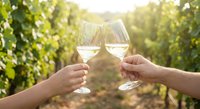 Two hands toasting with white wine glasses in sunny vineyard during golden hour creating romantic celebration moment among grape vines for special occasions.