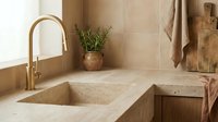 Warm-toned bathroom sink area with brass faucet, stone countertop, and potted plant, showcasing modern rustic interior design and home renovation inspiration.