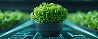 Fresh green lettuce growing in modern hydroponic system with LED lighting. Sustainable agriculture and indoor vertical farming technology for food production.