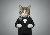 Tabby cat wearing formal black tuxedo suit with bow tie and holding microphone against neutral background, suitable for humorous marketing, entertainment, and event promotion materials.