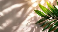 Fresh green palm leaves against beige background with natural window light and shadow overlay creating modern minimal composition for wellness design.