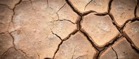 Cracked dry earth surface showing drought conditions with deep fissures in parched soil. Climate change and water scarcity concept for environmental projects.