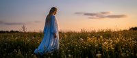 Woman in flowing blue dress standing in golden wildflower field at sunset, rear view, contemplative mood, suitable for lifestyle and nature editorial use.