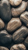 Fresh organic portobello mushrooms arranged in rustic pattern for culinary cooking and healthy vegetarian food preparation backgrounds.