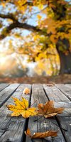 Fallen maple leaves on rustic wooden deck with blurred autumn foliage background creating seasonal atmosphere. Golden sunlight adds warmth to outdoor scene.