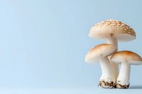 Fresh white mushrooms with spotted caps against light blue background, ideal for culinary, nature, or botanical design projects.