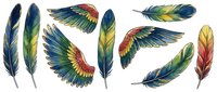 Colorful feathers with vibrant gradient hues of blue, green, yellow, and red tones. Watercolor style illustrations suitable for design, decoration, and artistic projects.