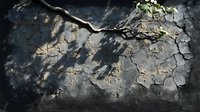 Dramatic cracked concrete wall texture with tree branch shadow and sunlight creating moody atmospheric effect. Natural light patterns on weathered surface.