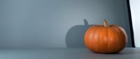 Orange pumpkin casting shadow on clean surface for autumn harvest decoration and seasonal holiday design projects.