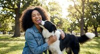 Happy African American woman with curly hair embracing black and white border collie dog in sunny park setting for pet care and lifestyle content.