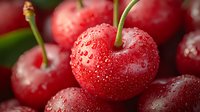 Fresh ripe red cherries with water drops and green stems in macro view, selective focus on juicy fruit with natural morning dew for food design.