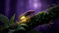 Glowing firefly beetle on moss-covered branch in enchanted forest with purple bokeh lights creating magical nighttime atmosphere for nature fantasy designs.
