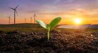 Green plant seedling growing from soil with wind turbines at sunset symbolizing renewable energy and sustainable development for environmental projects.