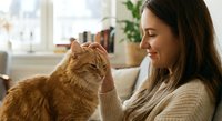 Young woman gently petting orange tabby cat while relaxing on couch at home. Cozy indoor lifestyle moment showing affection between pet owner and feline.