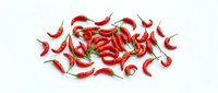 Red hot chili peppers arranged on white background, isolated and ready for culinary, food packaging, recipe, and cooking design projects.