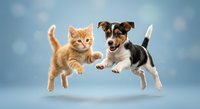 Orange tabby kitten and tricolor puppy jumping together in mid-air against soft blue background, playful pets in motion for animal lover designs.