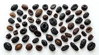 Assorted dried dates collection featuring various types and sizes of sweet fruit arranged on white background for culinary and healthy eating concepts.