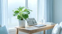 Modern home office workspace with green plant, laptop and books on wooden desk near bright window with blue curtains for productivity and wellness.