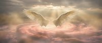 Ethereal white-winged figure emerging from soft clouds with divine golden light rays, symbolizing spirituality, peace, and transcendence for inspirational and religious designs.