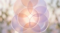 Soft translucent overlapping circles in pastel pink and lavender tones against a blurred natural background, creating a dreamy abstract composition.