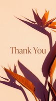 Thank you card with bird of paradise flowers casting warm shadows on a peach background, elegant serif text for social media or print.