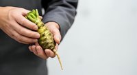 Male farmer with light skin tone holding fresh horseradish root vegetable against neutral background, suitable for agricultural, food, and farming content.