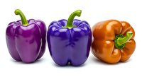 Fresh purple and orange bell peppers with green stems isolated on white background, ready for culinary, food, and recipe design projects.